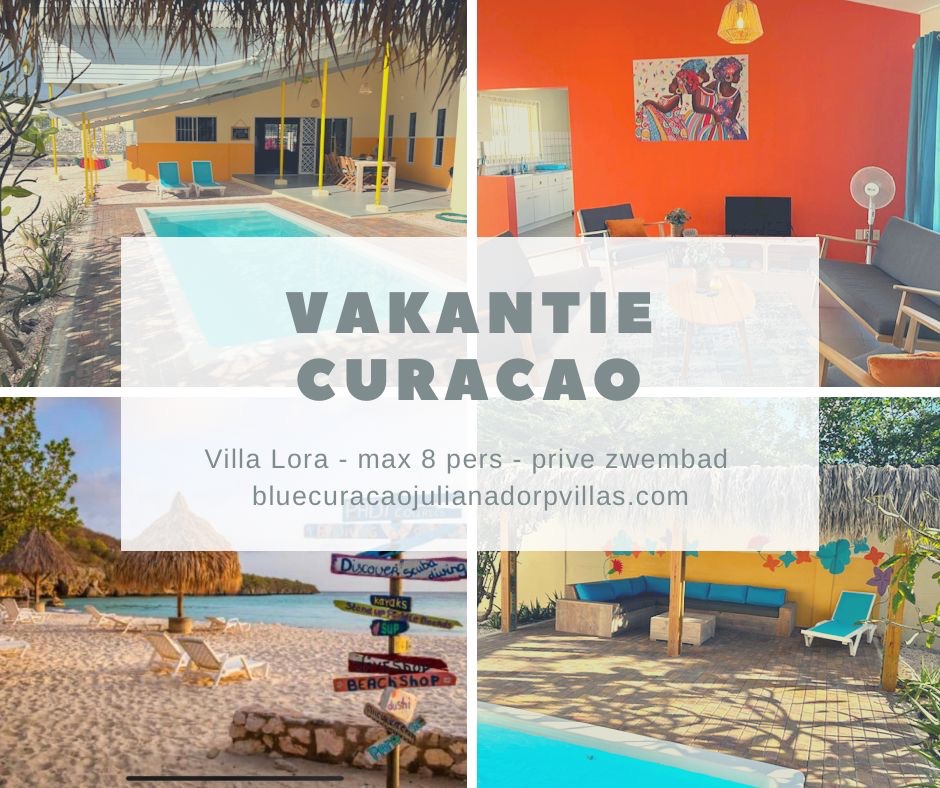 Villa Lora pool overview