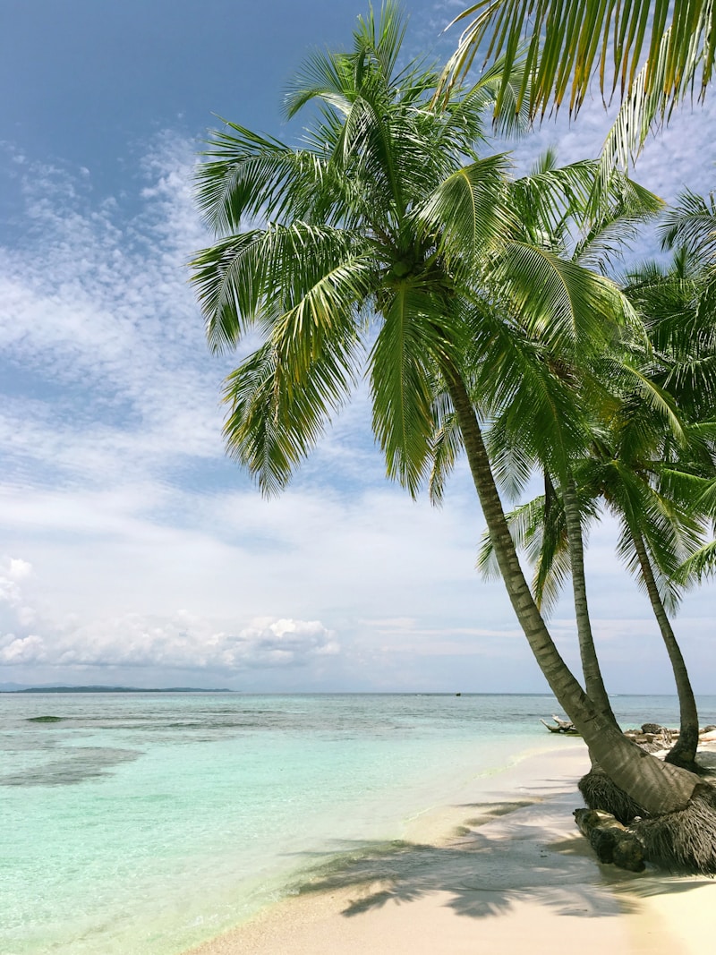Kokomo Beach